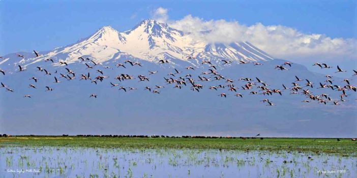 Sultan Sazlığı'nda Kuraklık Alarmı: 301 Kuş Türü Tehlike Altında