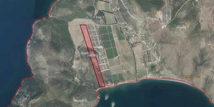 Türk Kızılay'ın İzmir Karaburun'daki 120 Bin Metrekarelik Zeytinliği Satışa Çıkıyor