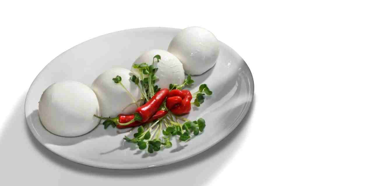 İtalyan Mozzarella Peynir Çeşiti