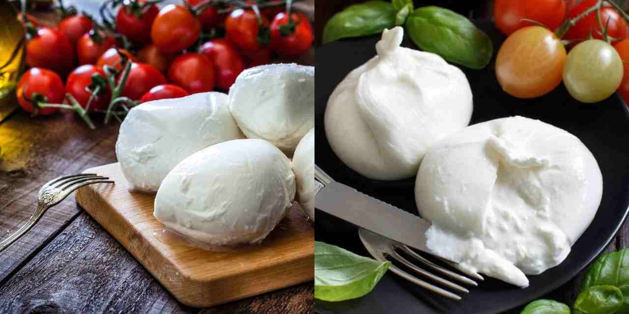 İtalyan Mozzarella