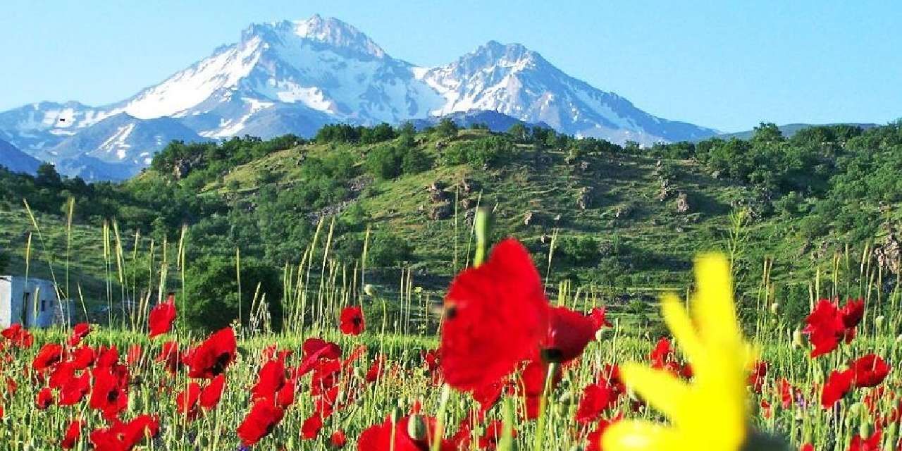 Erciyes Dağı