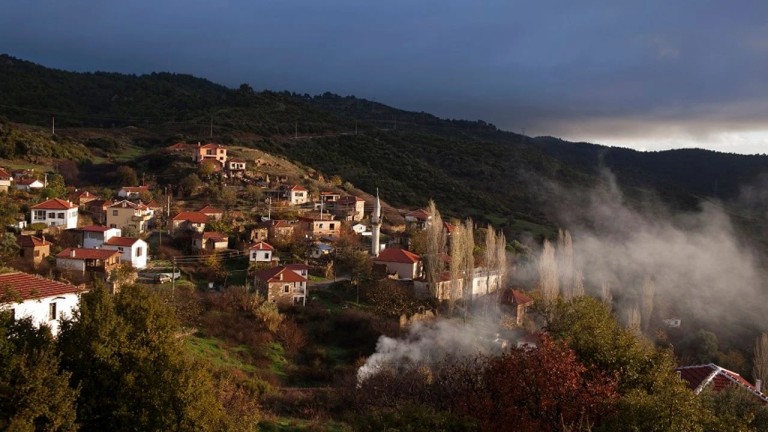 Seferihisar'ın En Büyük Orhanlı Köyü: Zeytinlikler, Tarih ve Ege'nin Huzurlu Atmosferi!