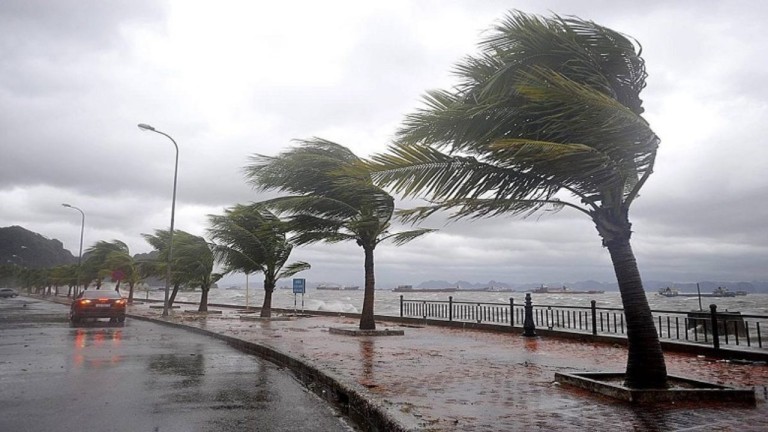 Meteorolojiden Fırtına Alarmı: Karadeniz'de Rüzgar Şiddeti Artacak